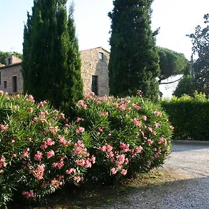 Apartment Casaleaurelia